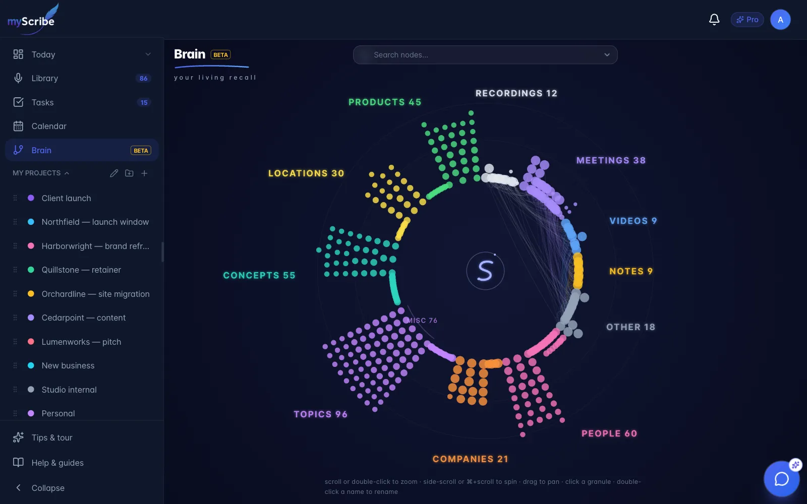 The Brain view: dots arranged in labelled sectors around a central S, including Recordings, Meetings, People, Companies and Topics